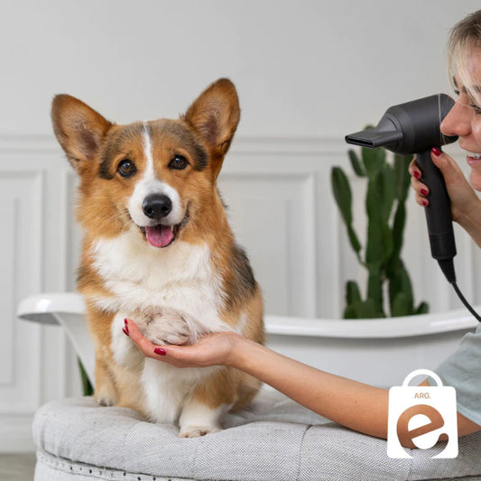 Afeitadora para perros